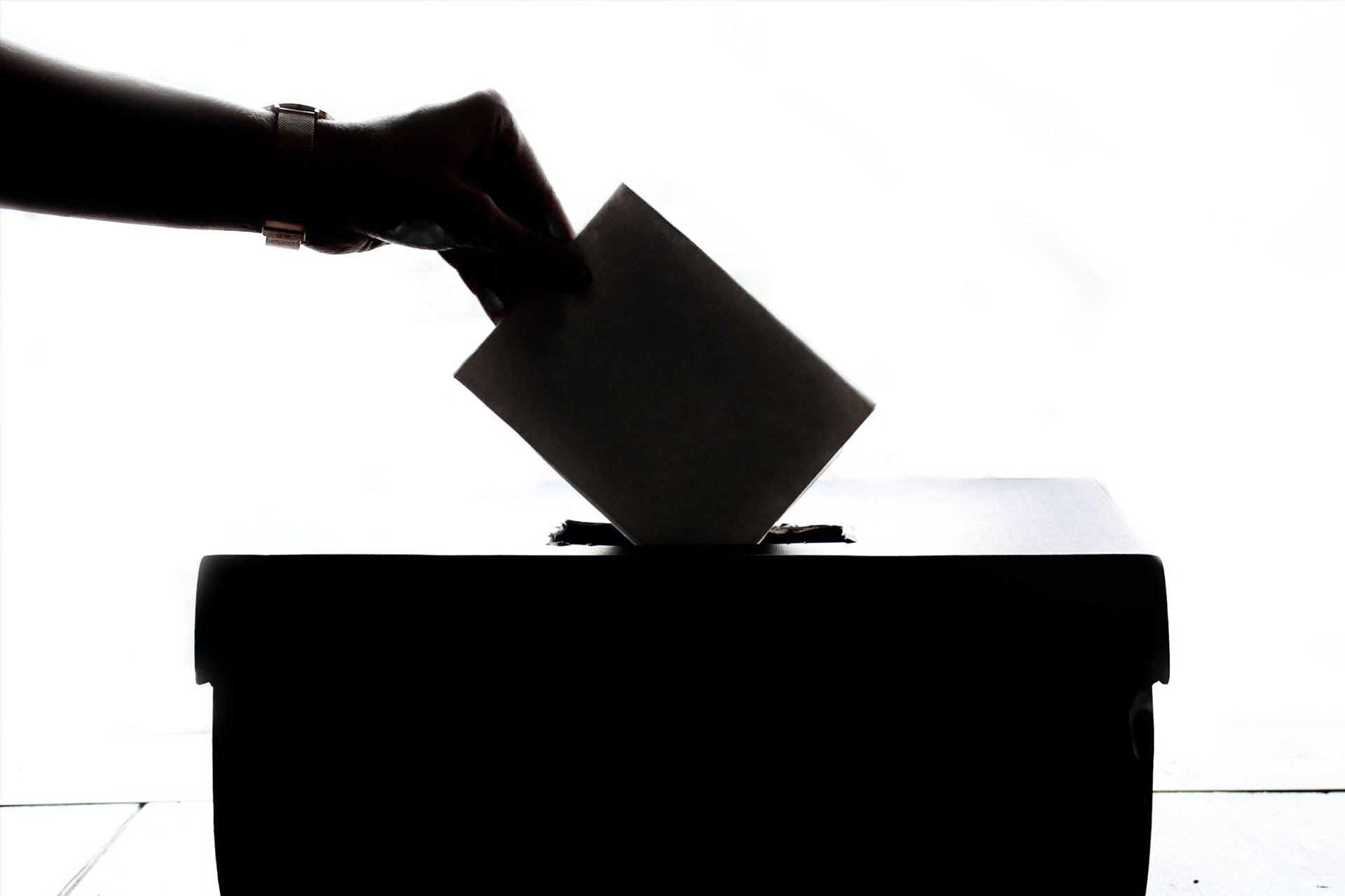 Risultati scrutinio elezioni politiche del 25/09/2022
